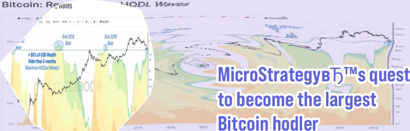 Bitcoin hodler