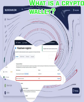 Crypto contact number