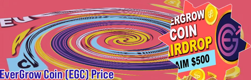Evergrow crypto price today