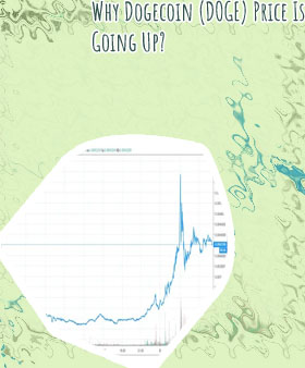 Stock price of dogecoin